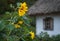 Sunflowers on a background of thatched hut village