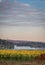 Sunflowers in bloom on farmland with rolling hills, white barn and High Point State Park in distance at sunrise in fall