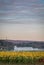 Sunflowers in bloom on farmland with rolling hills, white barn and High Point State Park in distance at sunrise in fall