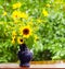 Sunflowers in Blue Pitcher