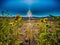 Sunflowers Bow Toward the Rising Sun in the Great Sand Dunes National Park