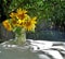 Sunflowers in clear glass vase under shade of tree in the garden