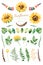 sunflowers clipart pictures