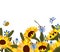 Sunflowers collection wild meadow flowers and insect. Bright yellow sunflowers. Horizontal poster for your design