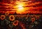 The Sunflowers\\\' Endless Horizon