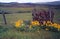 Sunflowers and Fence Rock Anchor Post