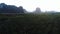 sunflowers field and agricultural area with lime stone mountain background in lopburi central of thailand