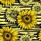 Sunflowers field seamless vector pattern for fabric textile design. Horizontal stripped brush strokes, ready to print.