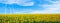 Sunflowers field on sky. Summer landscape wallpaper. Beautiful nature wallpaper background.  Wind turbine in hill. Ecology  concep