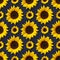 Sunflowers flowers and denim seamless pattern