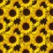 Sunflowers flowers seamless pattern photo