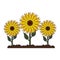 Sunflowers gardening cartoon isolated