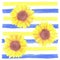 Sunflowers or Helianthus flowers a symbol of adoration and loyalty seamless watercolor background