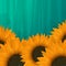 Sunflowers icon