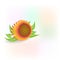 Sunflowers icon logo vector image