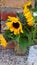 sunflowers nature yellow stone wall vase