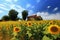 Sunflowers near blue sky. Generate Ai