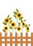 Sunflowers with near isolated icon