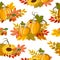 Sunflowers and pumpkins pattern.