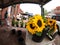 Sunflowers for sale at market