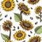 Sunflowers seamless pattern. Beautiful botanical design, floral cute fabric print repeating sunflower artistic decor