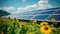 Sunflowers and Solar Panel in a Vibrant Field Promoting Renewable Energy, Wildflowers in front of solar panels on a field, AI