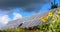 Sunflowers, solar panels Bright yellow sunflower flowers on the background of a solar power plant.