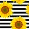 Sunflowers on a striped black and white. Seamless pattern