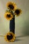 Sunflowers in a tall vase against a green background