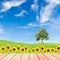 Sunflowers and tree on green grass field with blue sky and wood