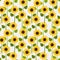 Sunflowers on white pale background seamless pattern