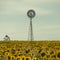 Sunflowers and a windmill in a field