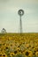 Sunflowers and a windmill in a field