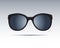 Sunglass isolated. Vector Icons.