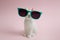 Sunglasses bunny