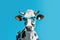 Sunglasses-clad cow against blue backdrop, surreal animal portrait. Generative AI