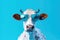 Sunglasses-clad cow against blue backdrop, surreal animal portrait. Generative AI