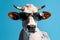 Sunglasses-clad cow against blue backdrop, surreal animal portrait. Generative AI