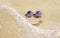 Sunglasses with flag of USA on a sandy beach. Nearby is a sea lightning and a painted smile.