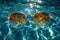 sunglasses float in the water in warm sunny weather
