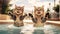 Sunglasses Happy Cute Two Cats Jump Moment On Pool. Generative AI
