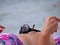 Sunglasses Laying on Woman Belly on Sand Beach with Umbrella Reflection