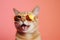 sunglasses portrait funny cute fashion colourful pet animal cat neon. Generative AI.