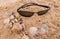 Sunglasses On Sand I
