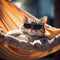 Sunglasses-Wearing Cat Sunbathing and Napping on a Hammock Bed. Generative AI