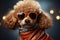 Sunglasses wearing poodle, sporting a glossy brown coat, exudes fashion forward flair
