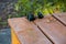 Sunglasses on a Wooden Bench