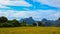 Sunhemp or Crotalaria juncea flower field with Khao Jeen Lae mountain background, Lopburi, Thailand