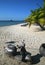 A sunken motorcycle in shells and seaweed on a beach in Sihanoukville, Cambodia