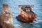 Sunken rusty cargo ship in still blue sea waters with rocks around